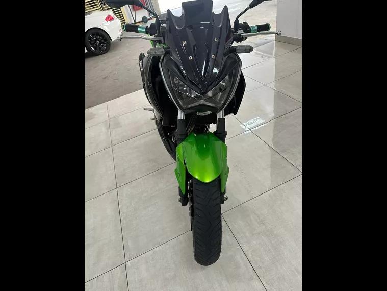 Kawasaki Z Verde 16