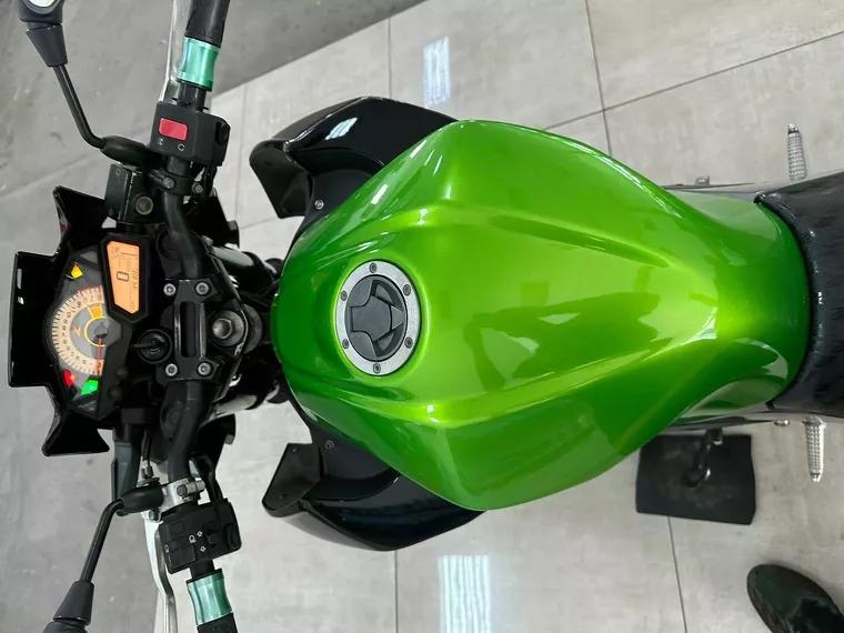 Kawasaki Z Verde 10