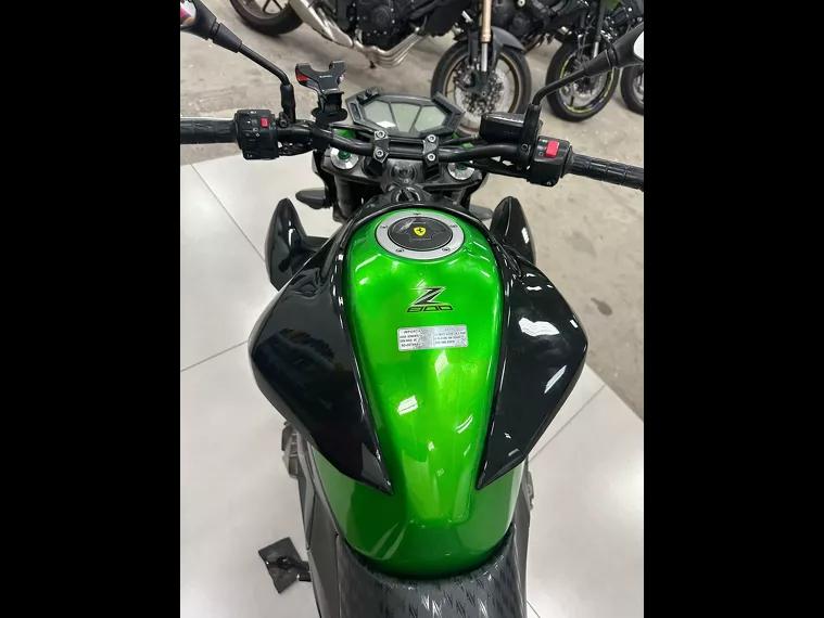 Kawasaki Z Verde 10