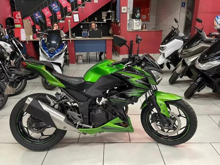 Kawasaki Z Verde 16