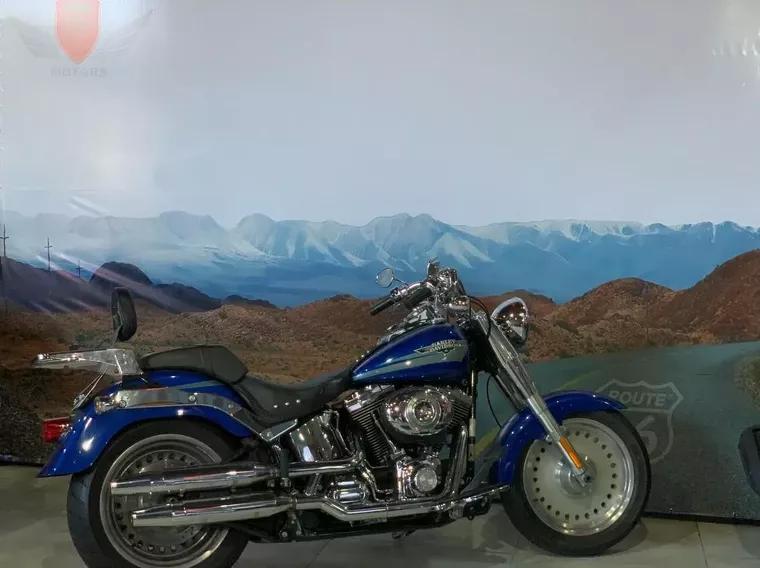 Harley-Davidson Fat Boy Azul 19