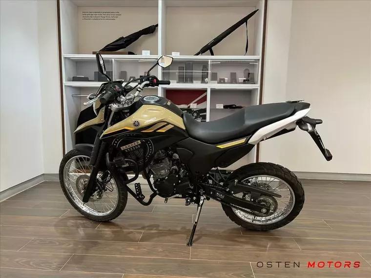 Yamaha XTZ 250 Bege 4