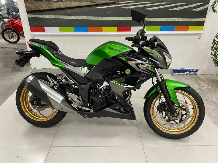 Kawasaki Z Verde 1