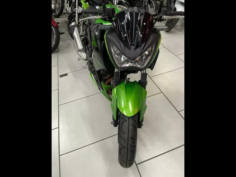 Kawasaki Z Verde 5