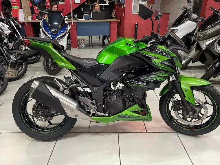 Kawasaki Z Verde 1