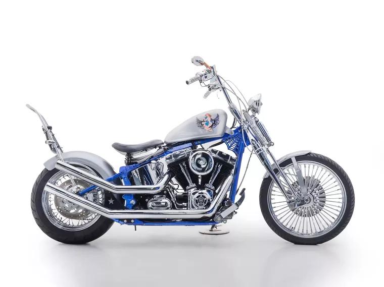 Harley-Davidson Springer Prata 3