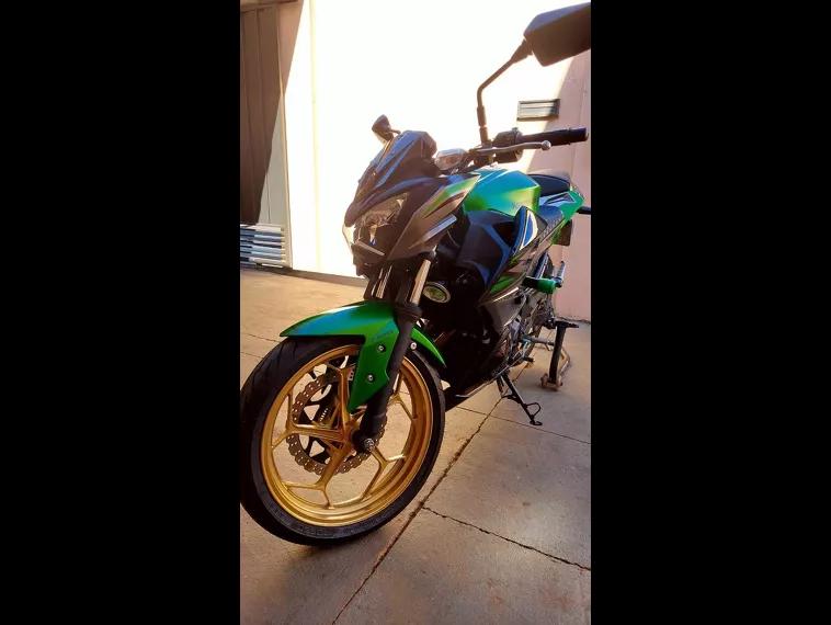 Kawasaki Z Verde 3