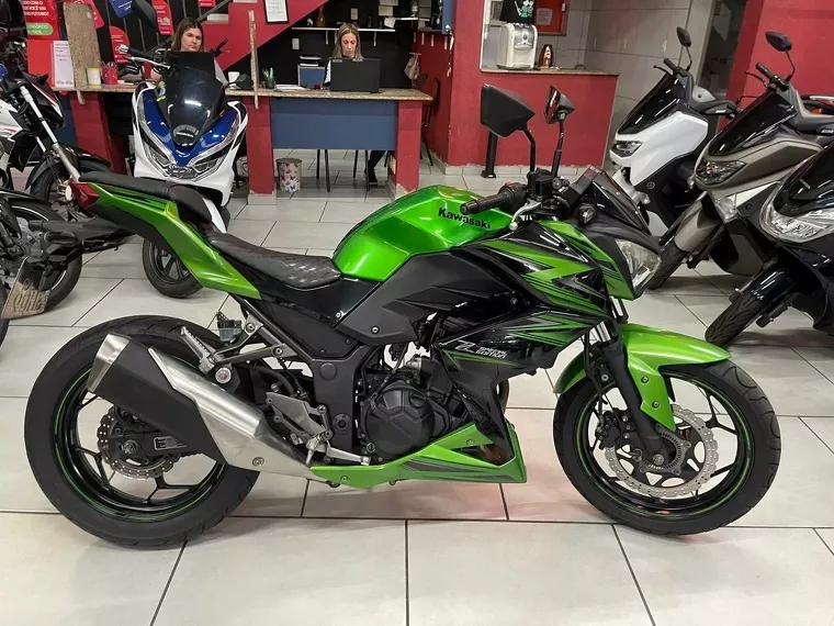 Kawasaki Z Verde 9