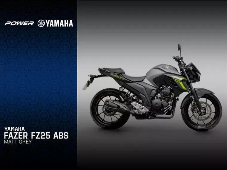 Yamaha Fazer 250 Cinza 1
