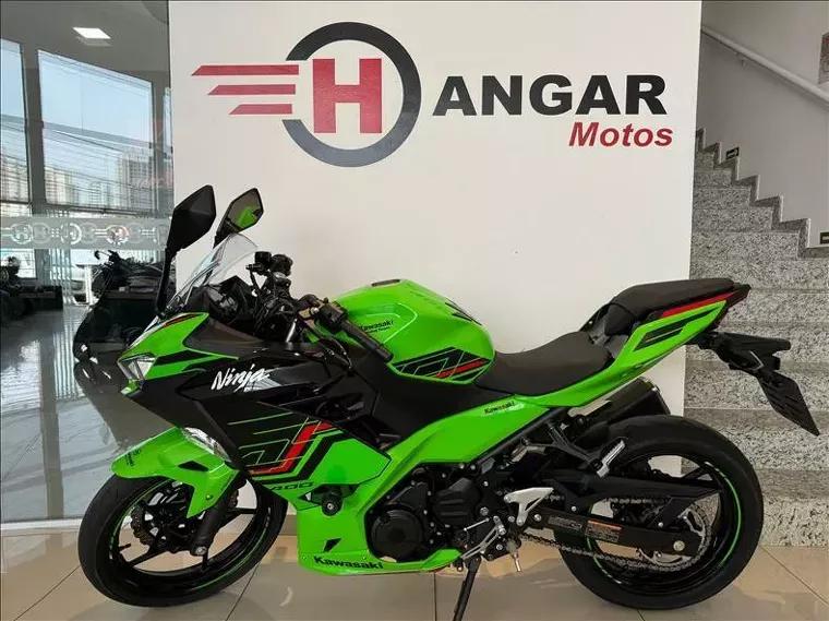 Kawasaki Ninja Verde 2