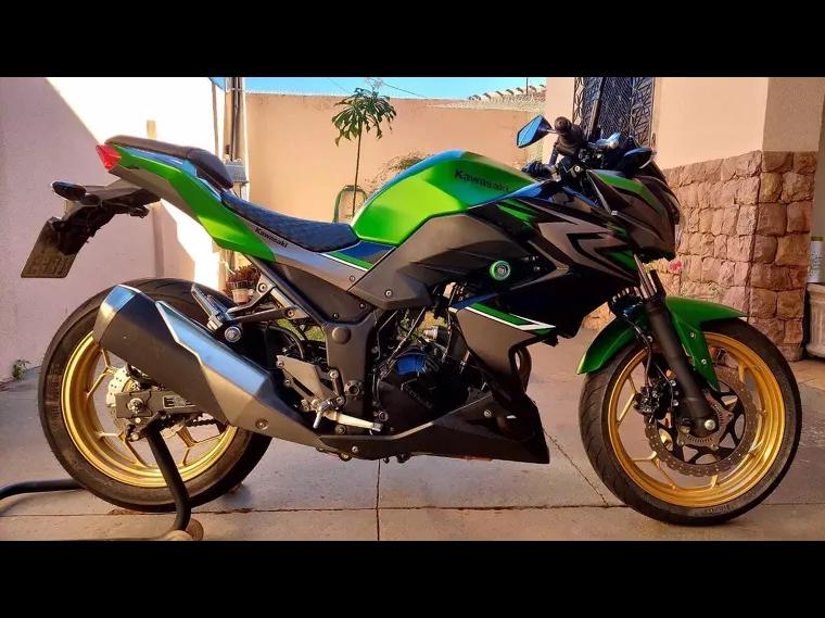 Kawasaki Z Verde 12