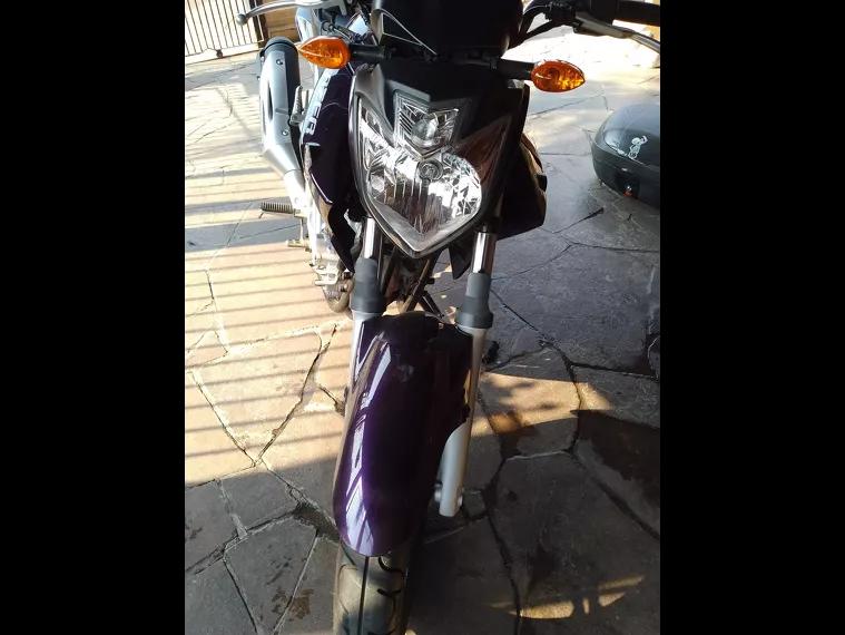 Yamaha YS 250 Roxo 4