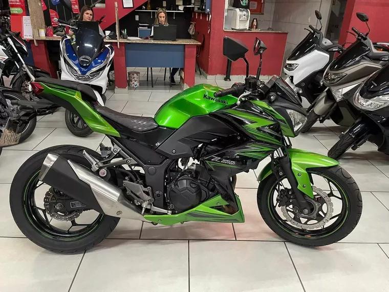 Kawasaki Z Verde 6