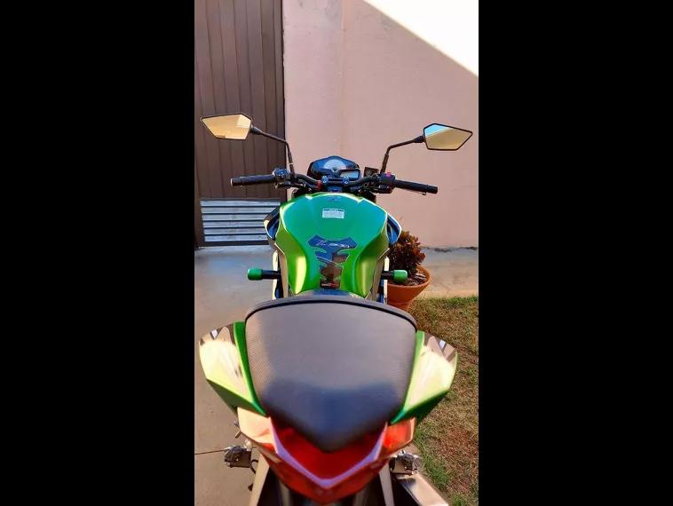 Kawasaki Z Verde 11