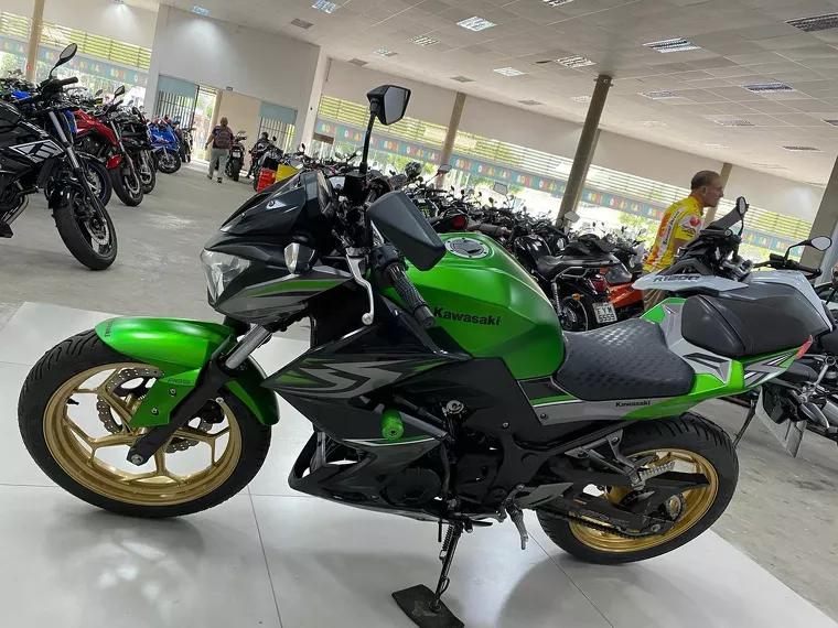 Kawasaki Z Verde 7