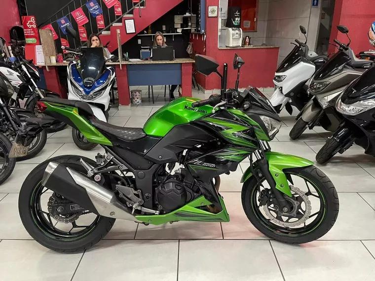 Kawasaki Z Verde 14