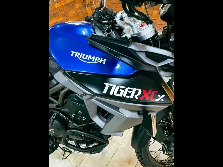 Triumph Tiger 800 Azul 6