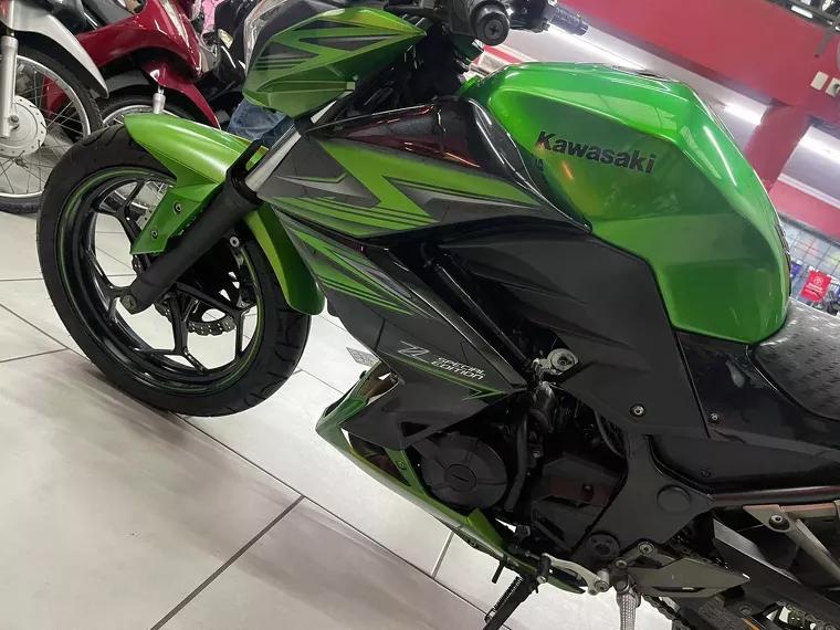 Kawasaki Z Verde 24