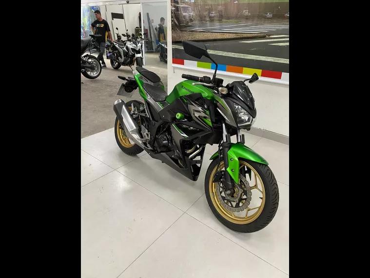 Kawasaki Z Verde 11