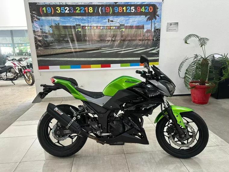 Kawasaki Z Verde 14