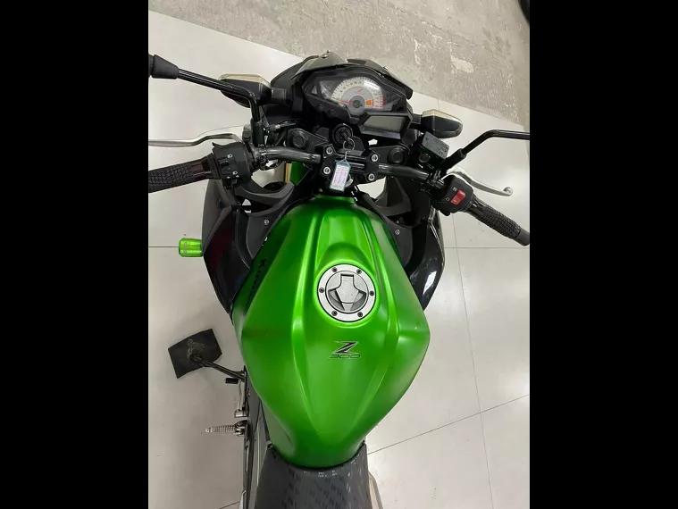 Kawasaki Z Verde 5