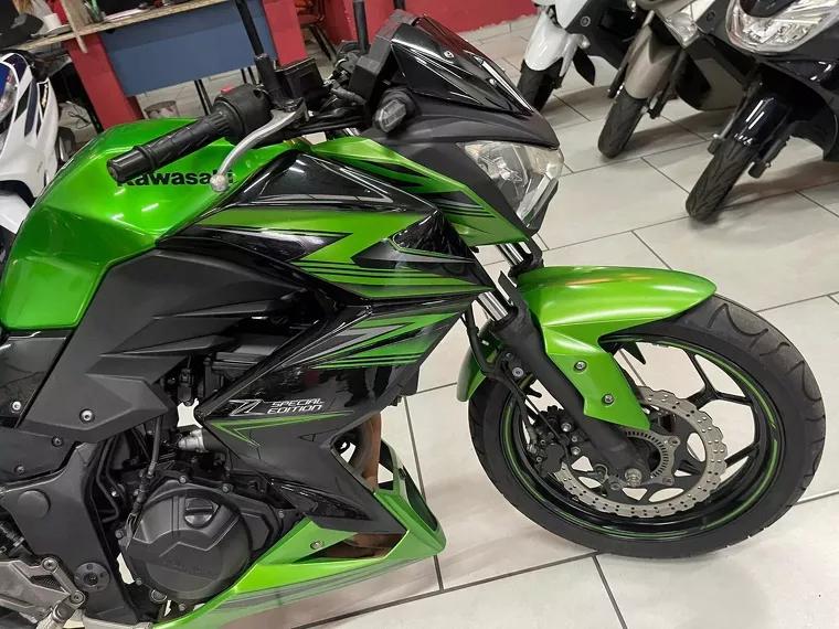 Kawasaki Z Verde 10