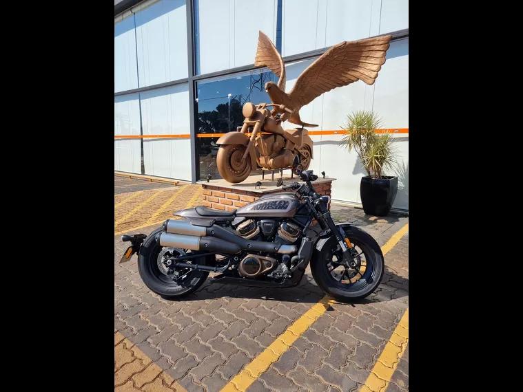 Harley-Davidson Sportster 1250 Cinza 6