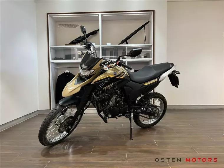 Yamaha XTZ 250 Bege 5