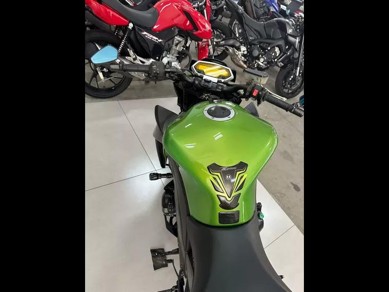 Kawasaki Z Verde 2