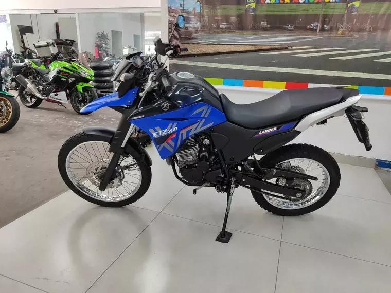 Yamaha XTZ 250 Azul 2