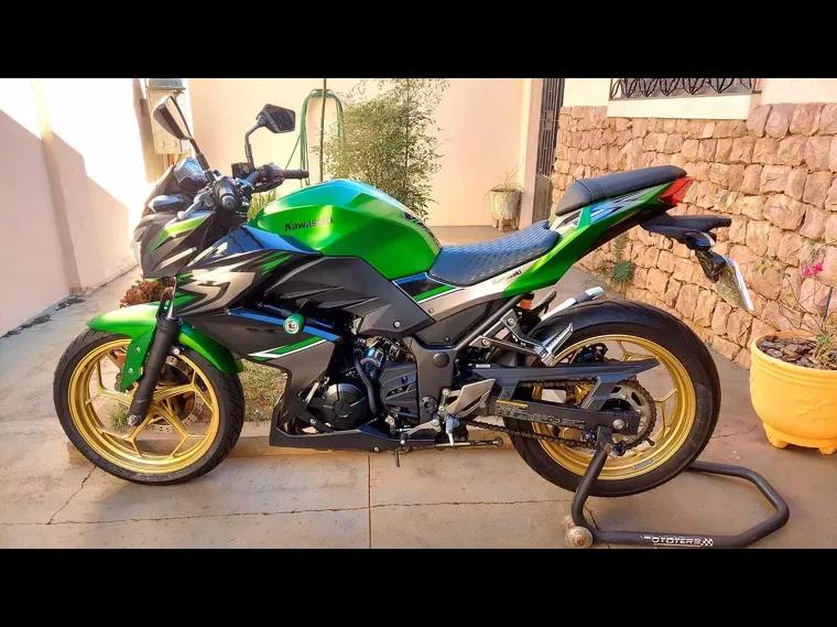 Kawasaki Z Verde 1