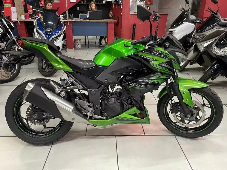 Kawasaki Z Verde 8