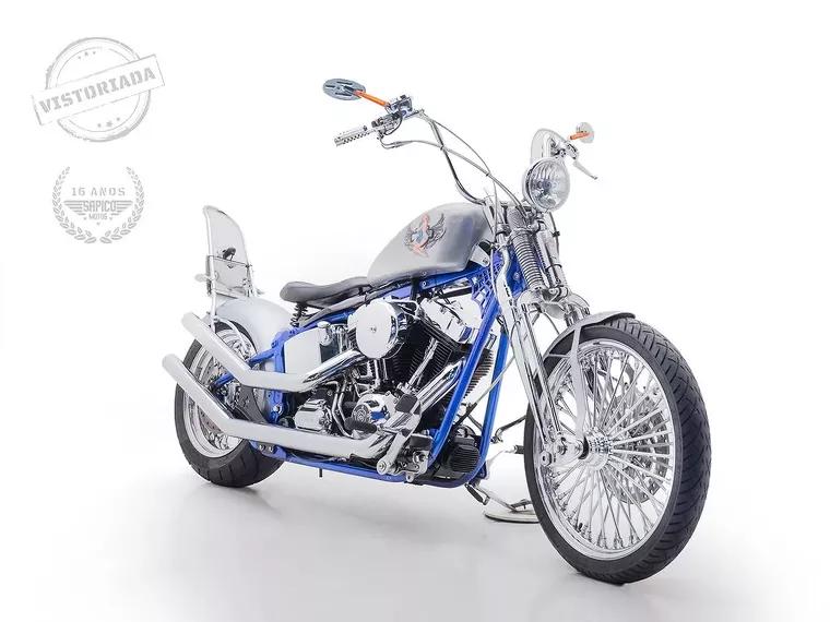 Harley-Davidson Springer Prata 1