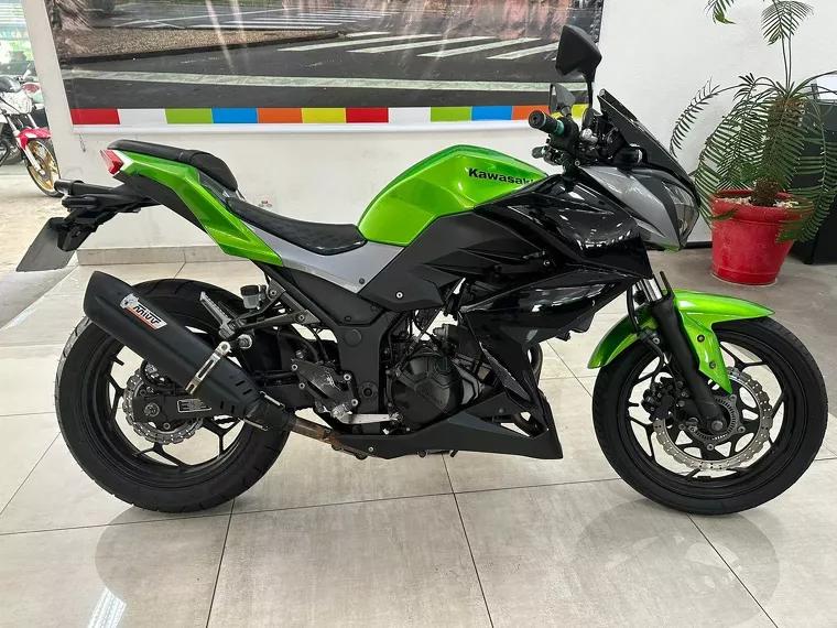 Kawasaki Z Verde 21