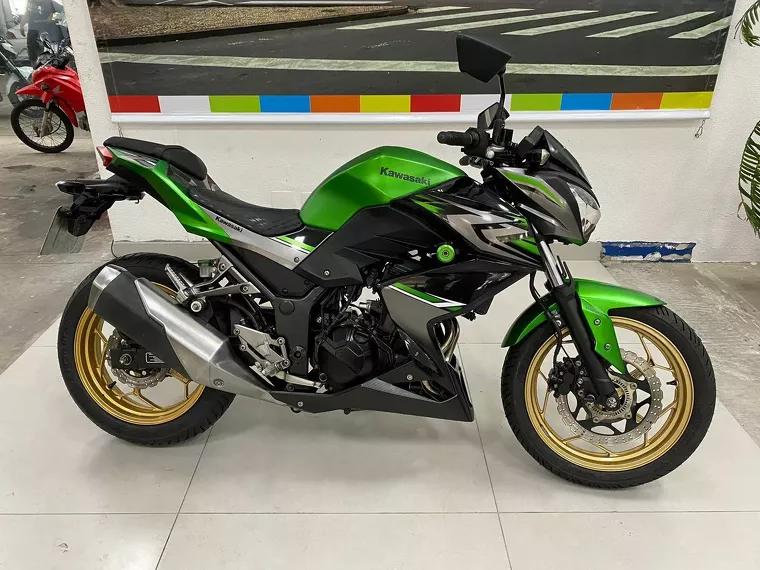 Kawasaki Z Verde 10