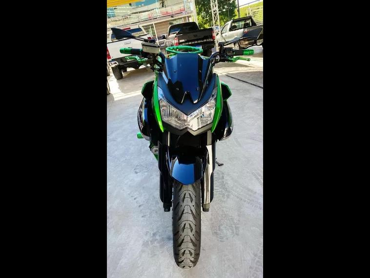 Kawasaki Z Verde 2