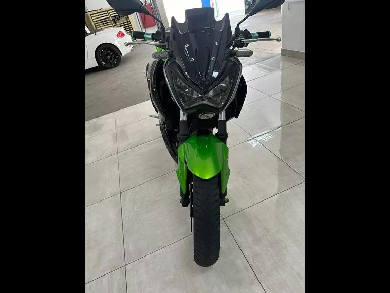 Kawasaki Z Verde 13