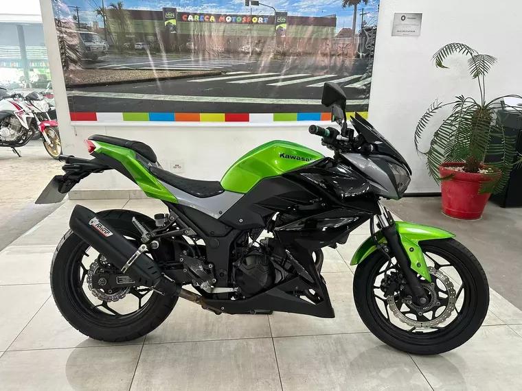 Kawasaki Z Verde 1