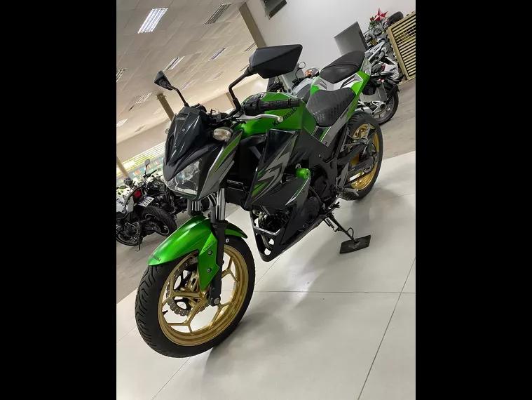 Kawasaki Z Verde 6